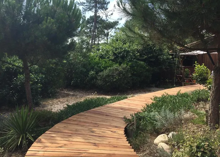 Zen Ocean, Les Oceanes Montalivet